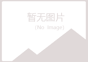 贵港紫山采矿有限公司